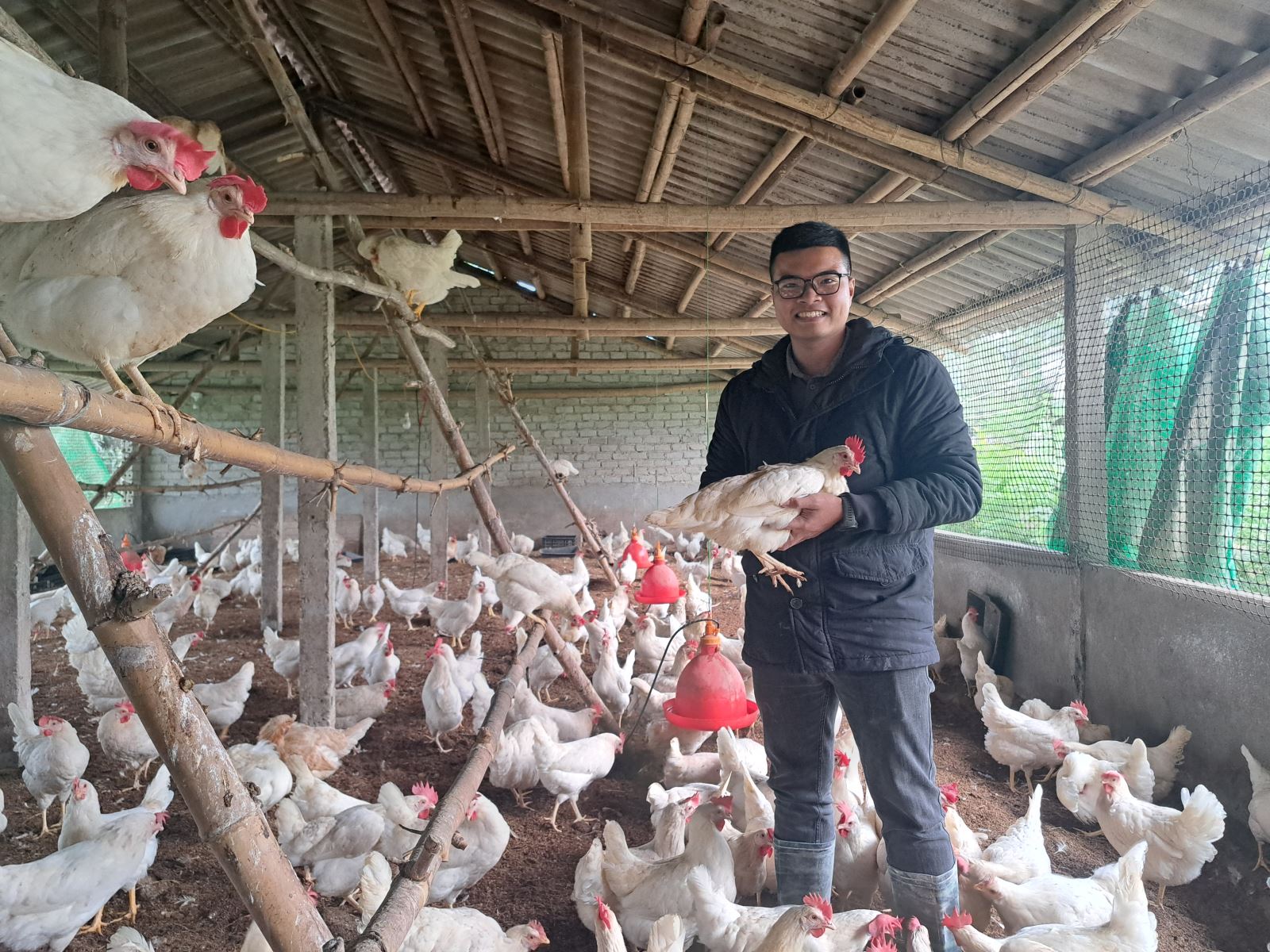 Trang trại gà thảo dược của chàng trai Hà Minh Nguyện, phường Đông Sơn, TX.Bỉm Sơn