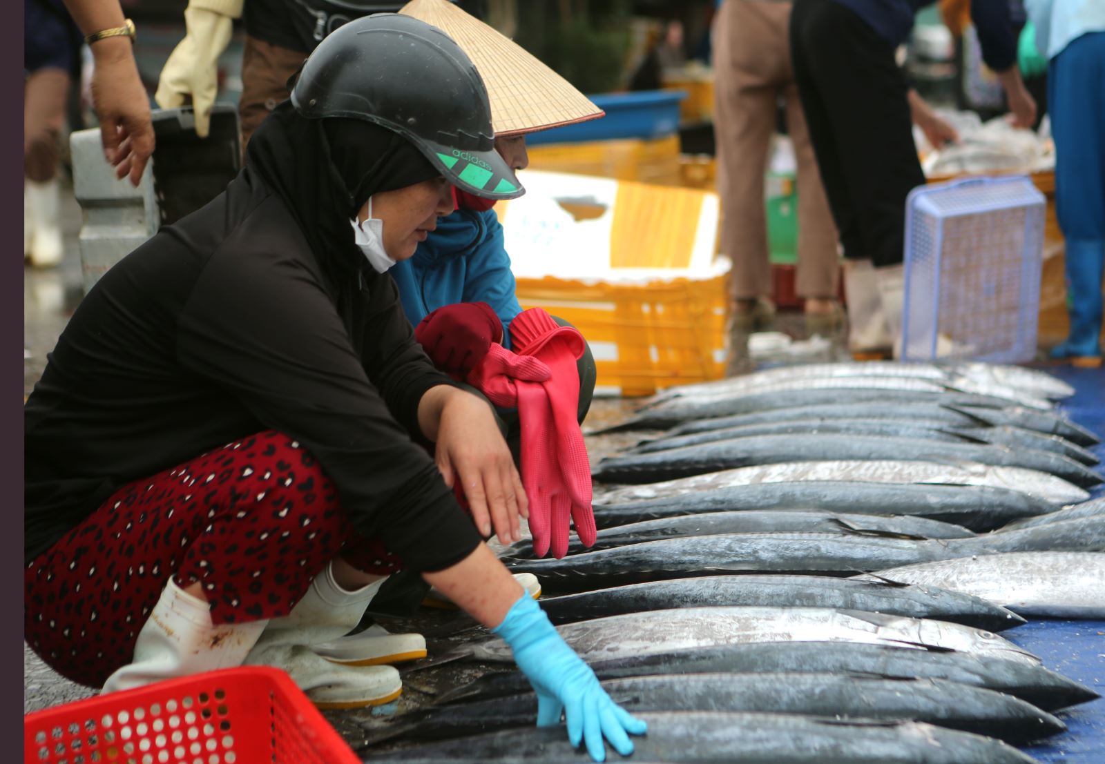 Nguồn lợi thủy sản mang lại cuộc sống ổn định người dân ven biển