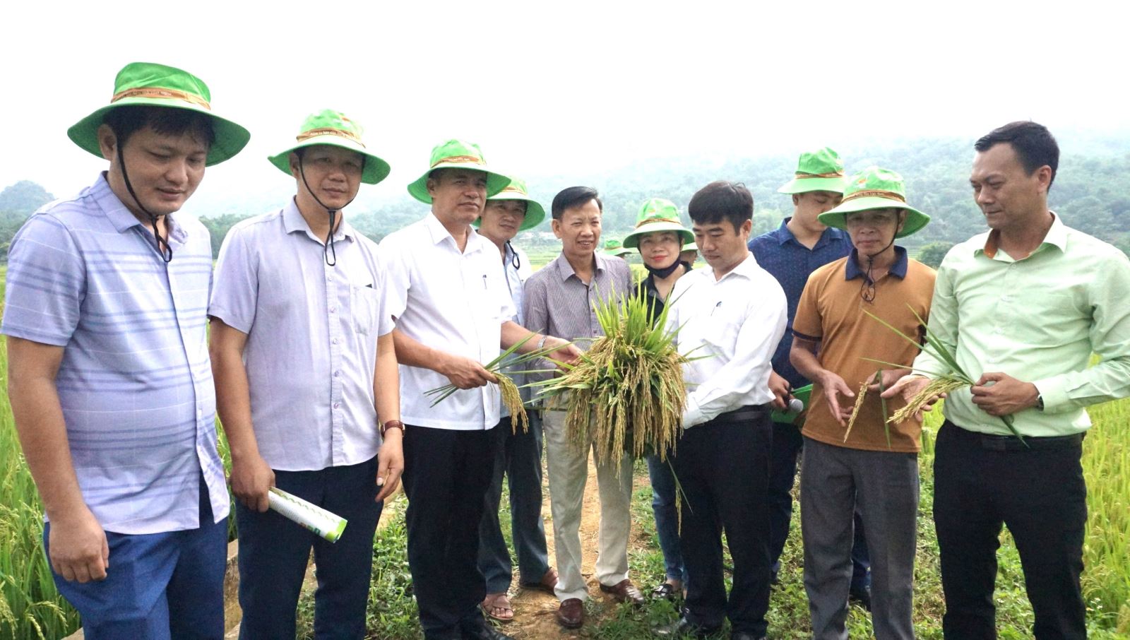 Đoàn công tác của huyện, lãnh đạo các xã, bà con nông dân cùng Chi nhánh Bắc Trung Bộ - Tập đoàn ThaiBinh Seed thăm quan mô hình trình diễn đầu bờ giống lúa thuần TBR8 tại xã Ban Xông