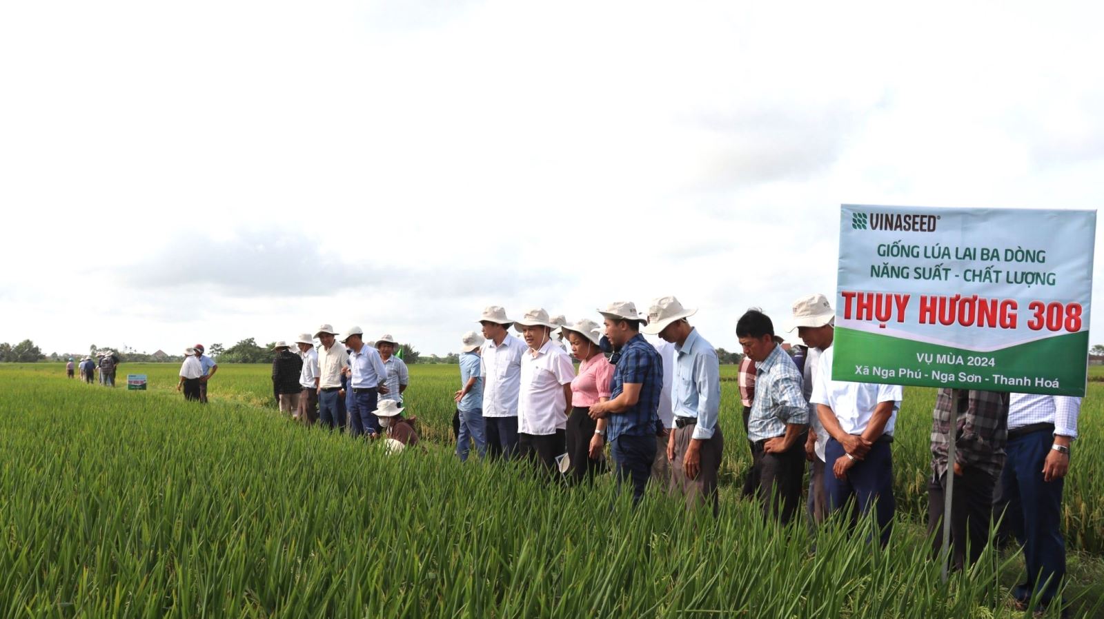 Ông Phạm Văn Thành, phó chủ tịch UBND huyện Nga Sơn cùng bà con nông dân đi tham quan mô hình liên kết 3 nhà.