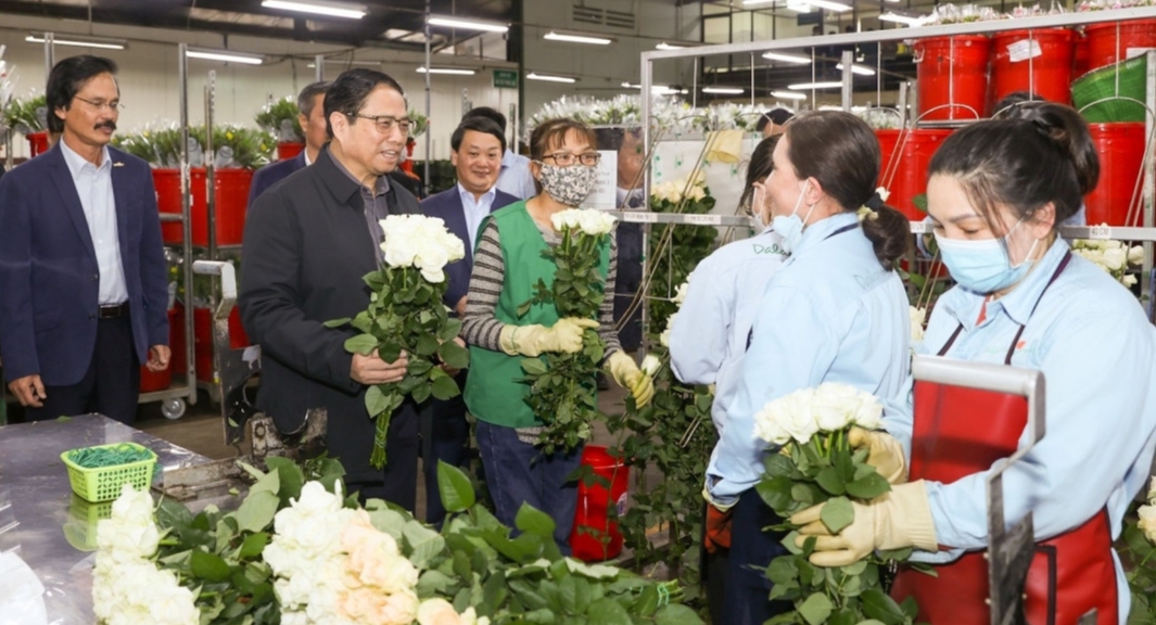 Thủ tướng Chính phủ Phạm Minh Chính và Đoàn công tác của Chính phủ thăm Công ty TNHH Dalat Hasfarm