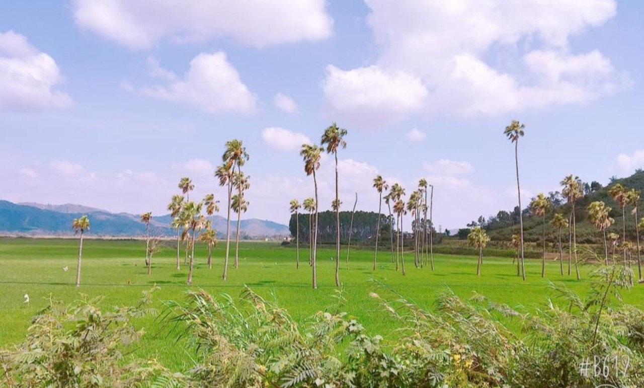 Một góc phong cảnh hữu tình tại xã Hòa Lễ, huyện Krông Bông