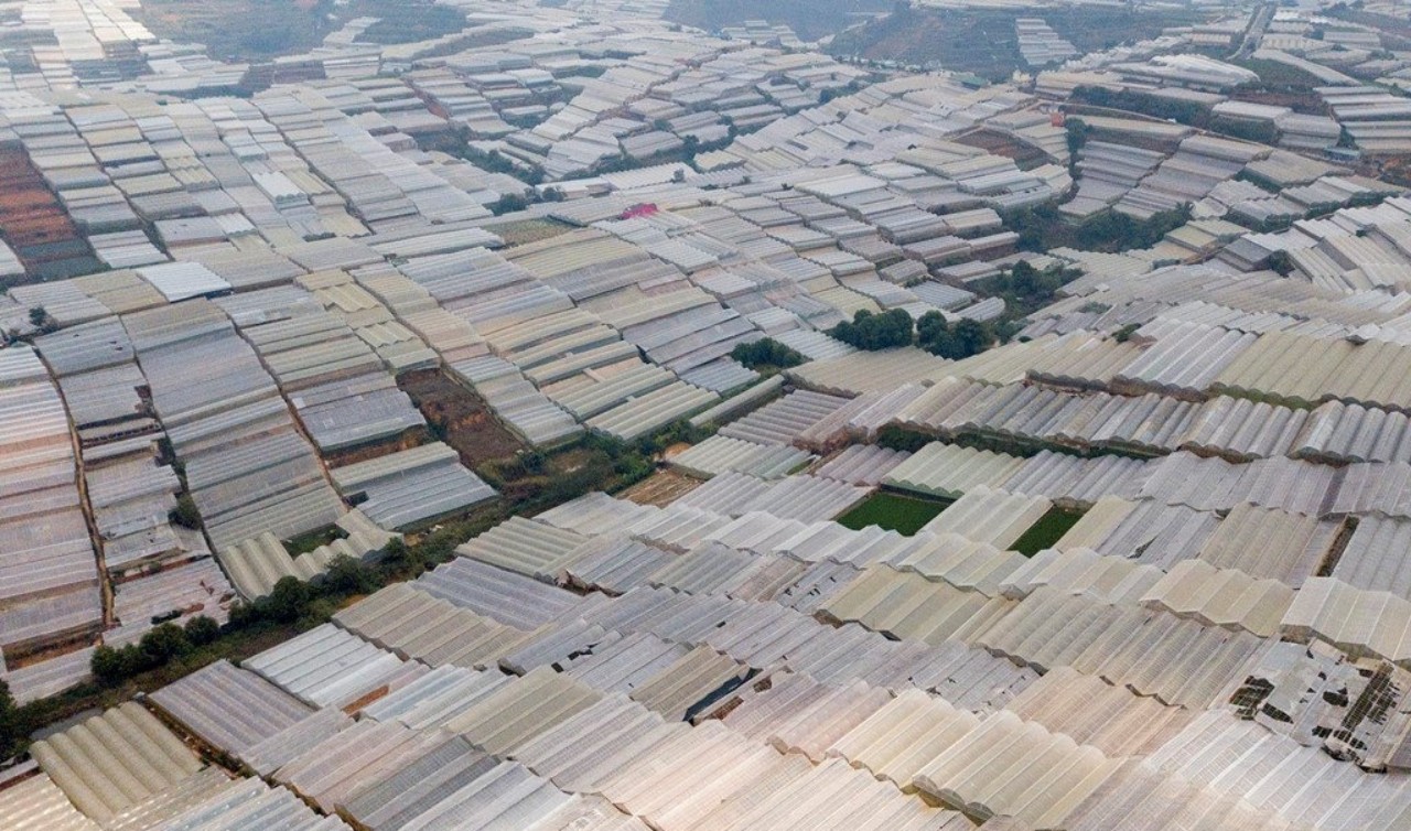 Bên cạnh việc đem lại nhiều lợi ích trong phát triển nông nghiệp thì việc xây dựng nhà kính mất kiểm soát cũng đang tác động tiêu cực đến cảnh quan của thành phố Đà Lạt (Lâm Đồng)