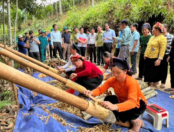 Sản xuất hữu cơ để cây quế phát triển bền vững ở Lào Cai