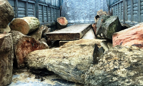 Số gỗ không rõ nguồn gốc bị thu giữ để tiếp tục điều tra
