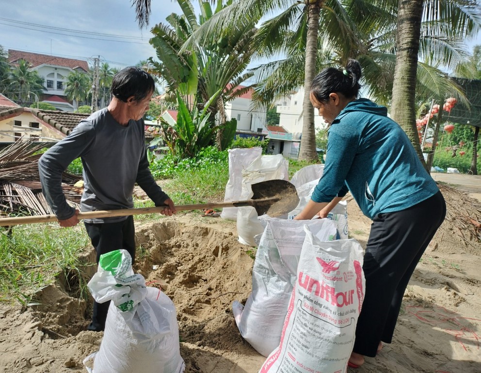 Người dân phường Cửa Đại (TP Hội An, Quảng Nam) xúc cát cho vào bao chằng chống nhà cửa.