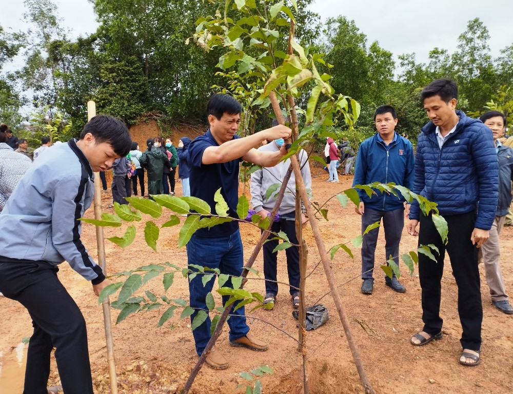 Đông đảo cán bộ, công chức, viên chức, người lao động các cơ quan trên địa bàn huyện Bình Sơn tham gia Tết trồng cây nhân dịp Xuân Quý Mão 2023
