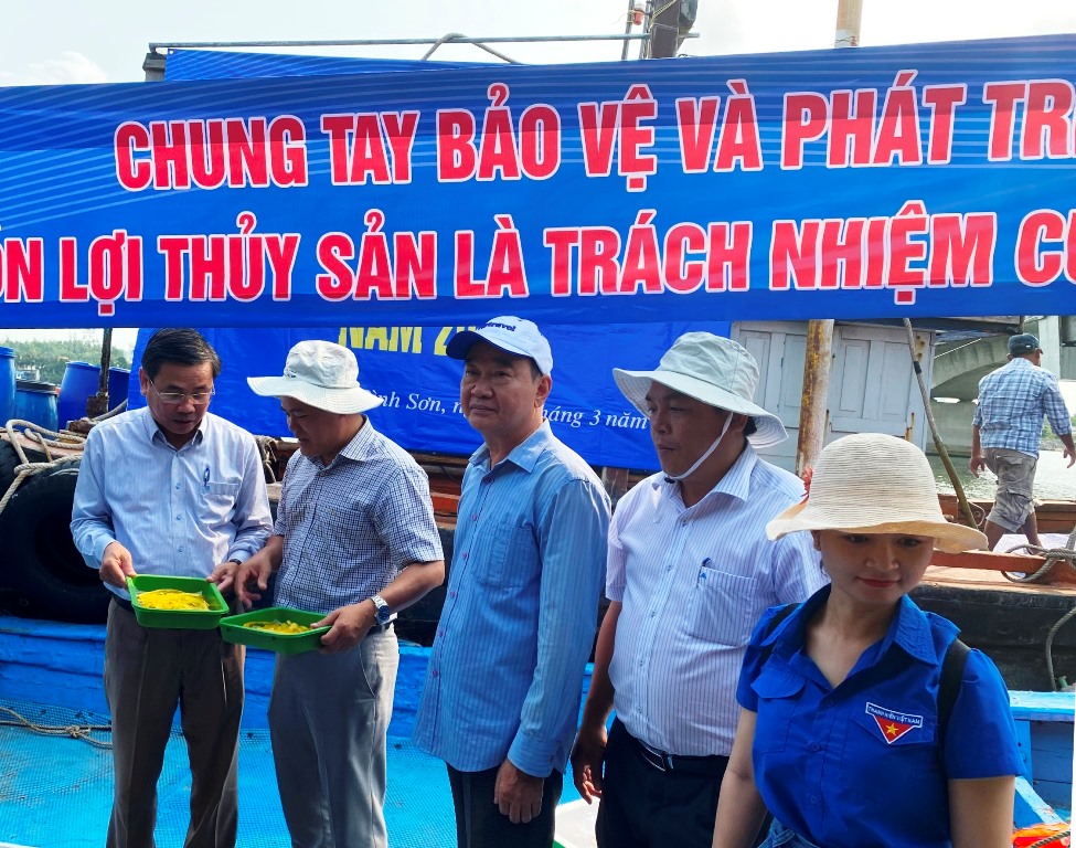 Thả giống tái tạo nguồn lợi thủy sản tại cửa biển Sa Cần, xã Bình Thạnh, huyện Bình Sơn, Quảng Ngãi