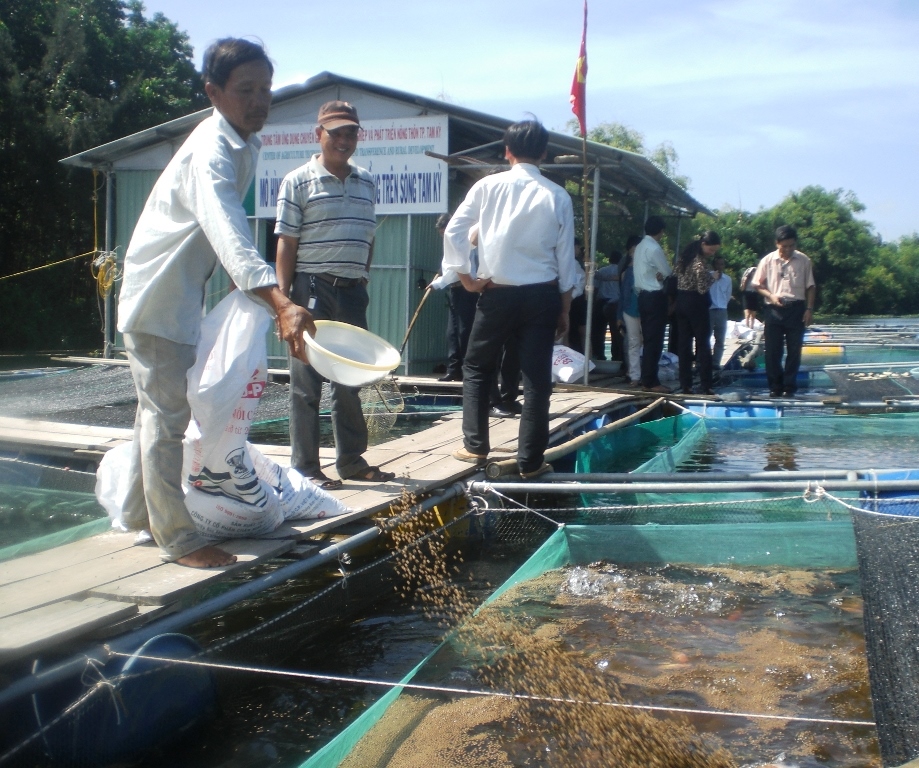 Quảng Nam nuôi trồng thủy sản tập trung theo hướng ứng dụng công nghệ cao, nuôi thâm canh.