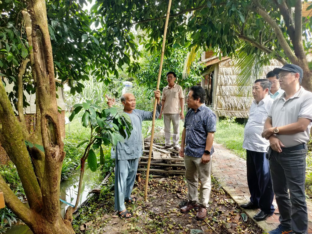 Tham quan mô hình trồng cây ăn trái kết hợp đi lịch cộng đồng ở ấp Nhơn Lộc 1, thị trấn phong Điền, huyện Phong Điền, TP Cần Thơ.