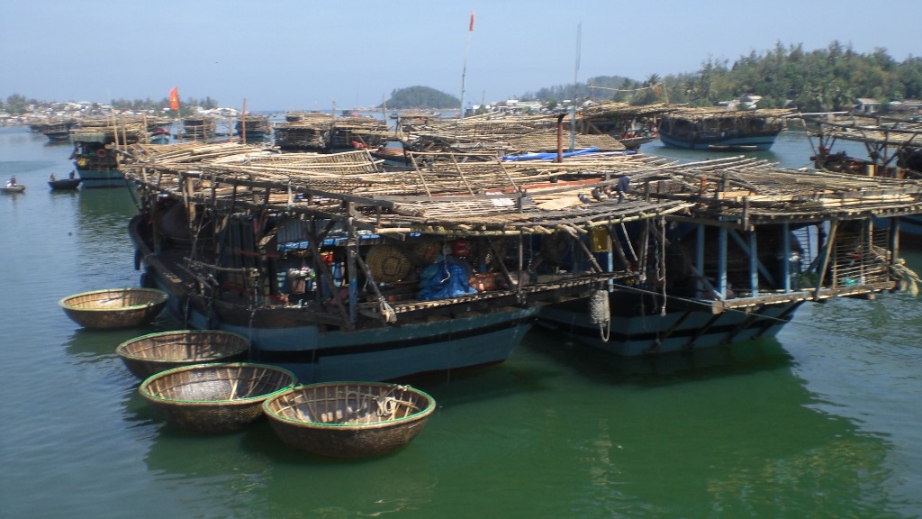Tàu câu mực của ngư dân huyện Bình Sơn, Quảng Ngãi  (ảnh minh họa)