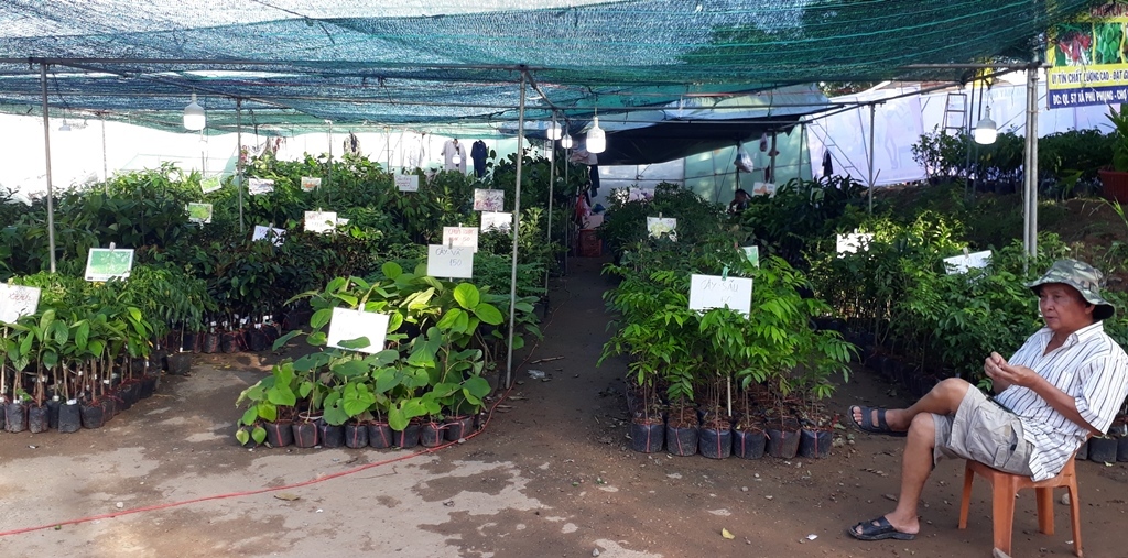 Gian hàng giống cây ăn quả của một doanh nghiệp của tỉnh Bến Tre tại Hội chợ