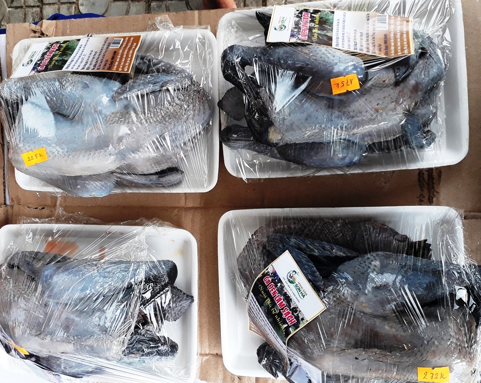 Sản phẩm gà đen của huyện miền núi Sơn Hà bày bán tại phiên chợ