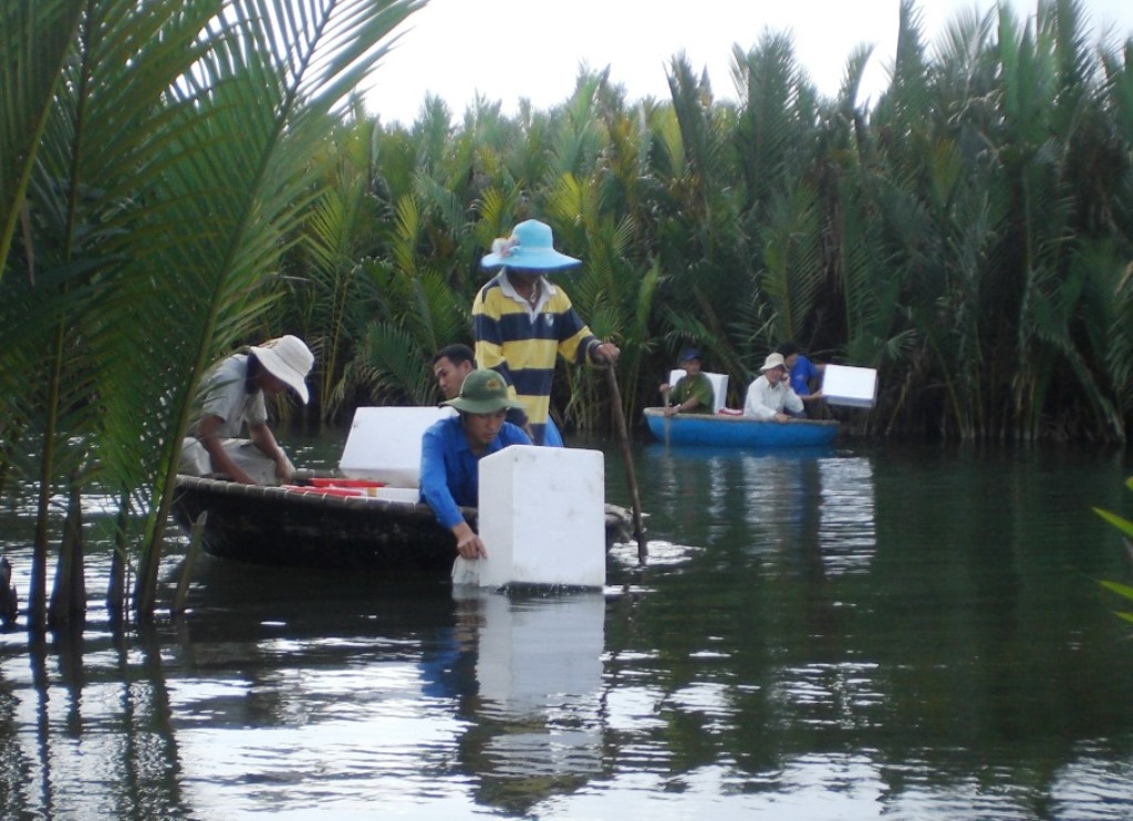 Thả giống tái tạo nguồn lợi thủy sản tại Quảng Ngãi.