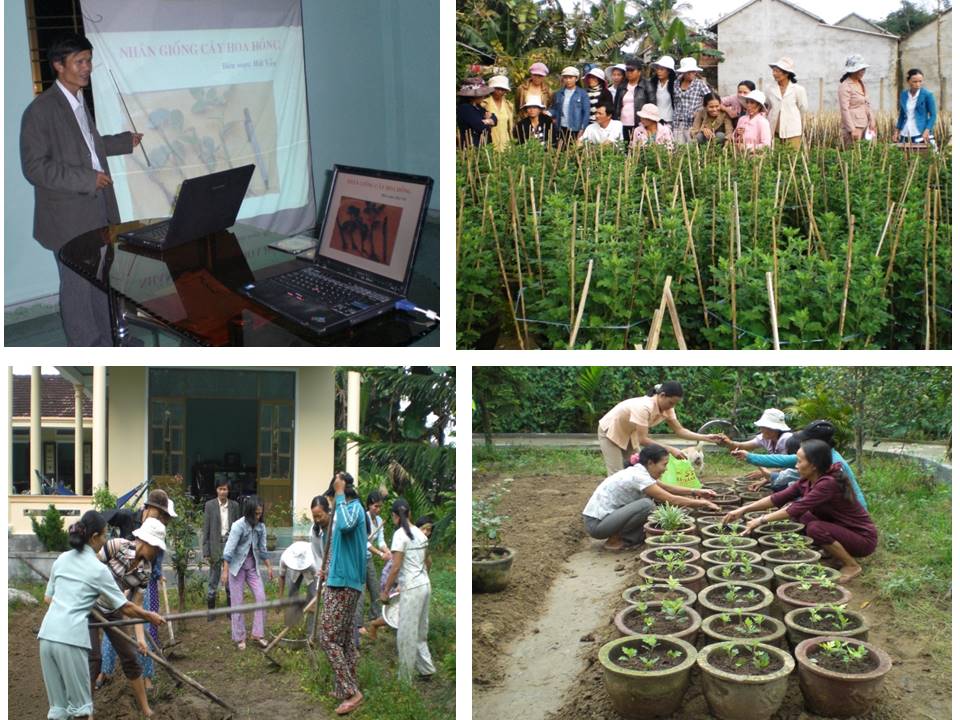 Một lớp Đào tạo nghề trồng hoa, cây cảnh cho phụ nữ xã Bình Thới (nay là Thị Trấn Châu Ổ, huyện Bình Sơn, Quảng Ngãi).
