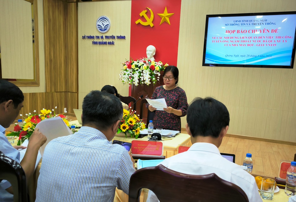 Bà Trần Thị Hạ Vũ, Chi cục trưởng Chi cục Bảo vệ môi trường tỉnh thông tin về Dự án