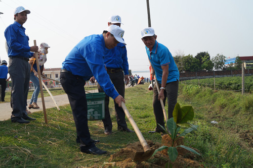 Lãnh đạo Tỉnh đoàn và Sở NN&PTNT tỉnh tham gia trồng cay xanh tại xã Bình Thới