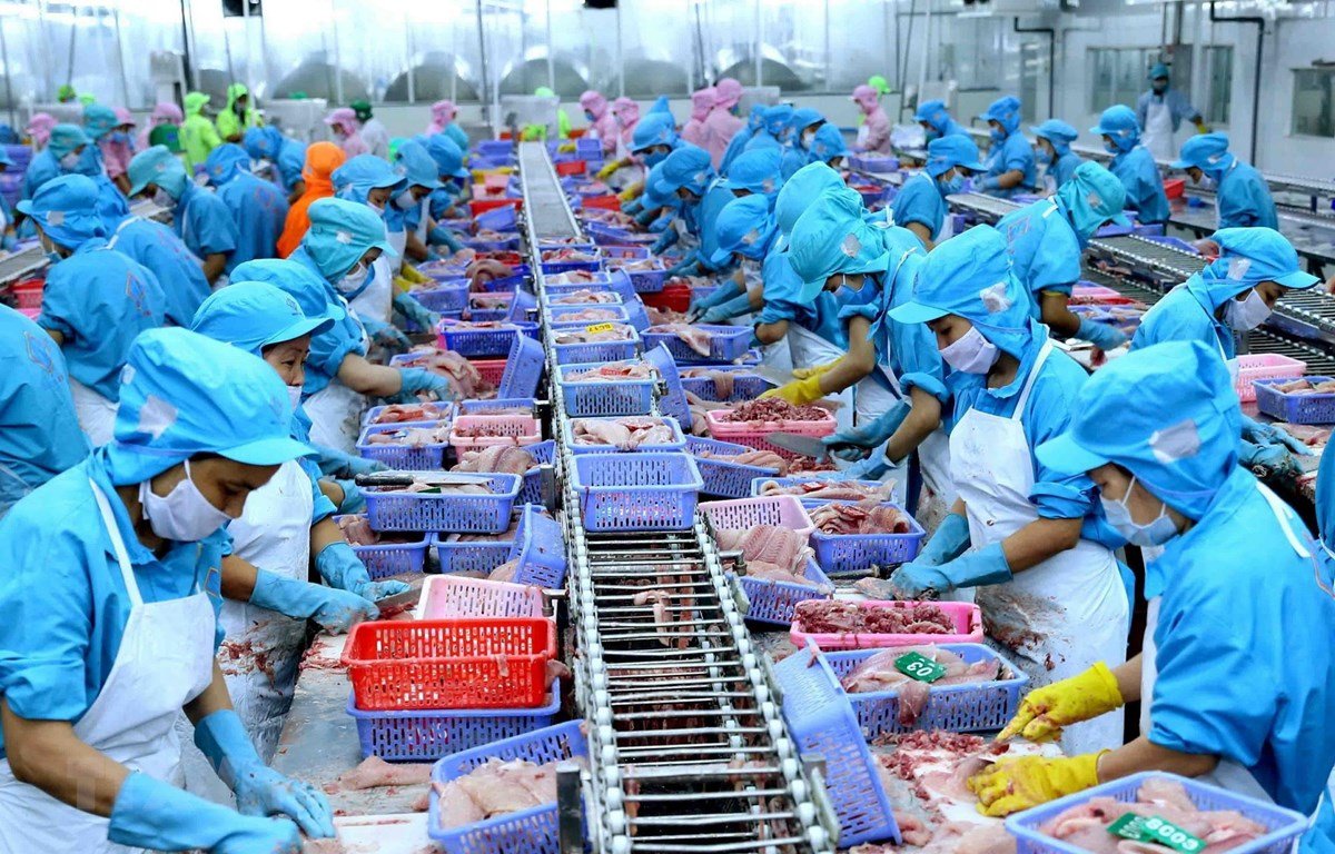 The Situation of Seafood Exports in the Second Quarter of 2023?
