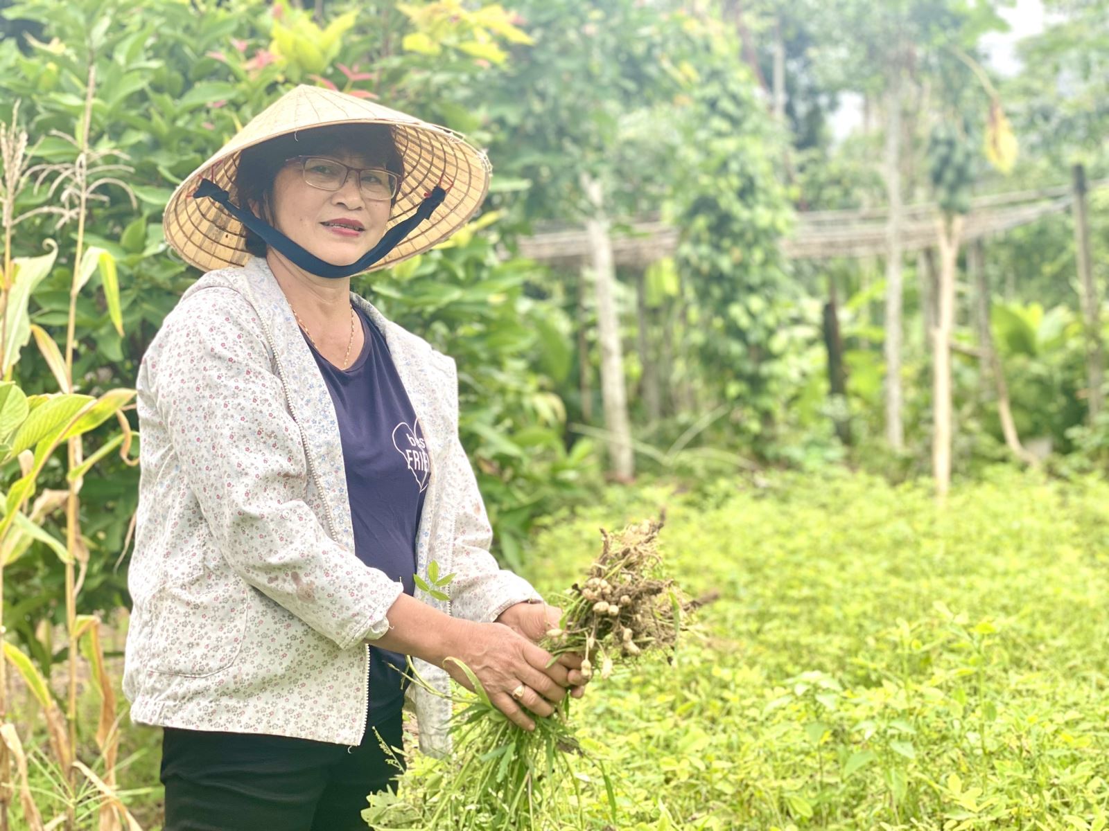 Cô giáo Phạm Thị Ánh Minh vui mừng vì năm nay được mùa đậu phộng.