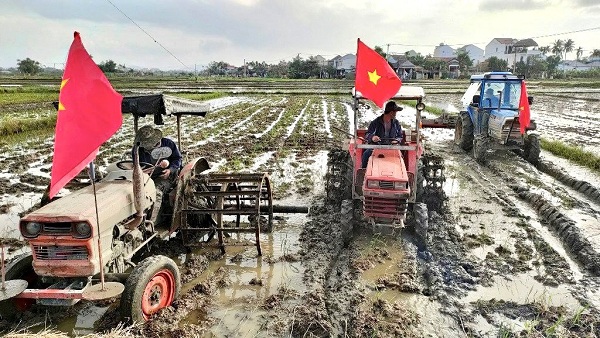 Nông dân trên địa bàn tỉnh Quảng Nam khẩn trương làm đất gieo sạ vụ lúa đông xuân.