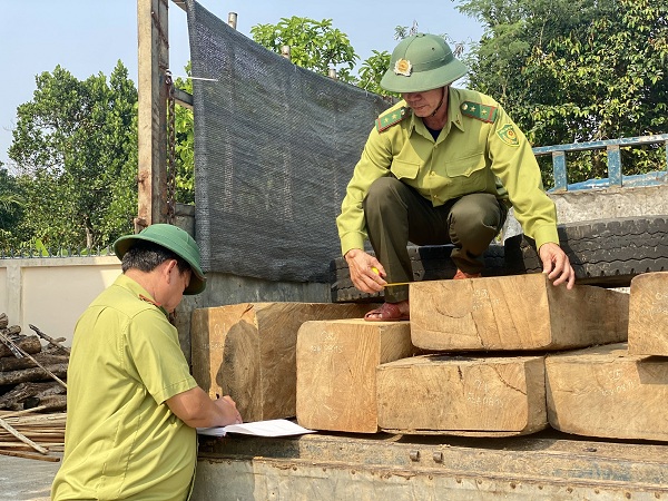 Nguồn tài chính ổn định từ bán tín chỉ các-bon rừng sẽ giúp lực lượng bảo vệ rừng chuyên trách an tâm công tác.