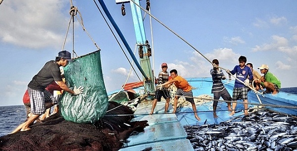 Truy xuất nguồn gốc hải sản sau đánh bắt là yêu cầu bắt buộc của thị trường.