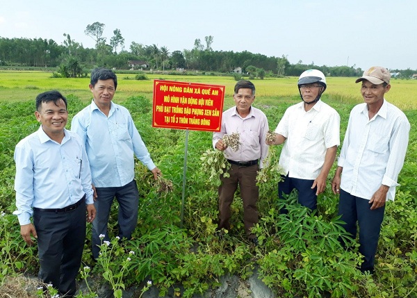 Những năm gần đây, nhờ sự hỗ trợ từ nhiều phía, nông dân trên địa bàn huyện Quế Sơn thực hiện hiệu quả nhiều mô hình chuyển đổi cây trồng trên đất lúa.