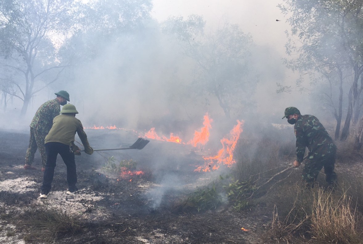 Vụ hỏa làm thiệt hại khoảng 10 ha rừng phòng hộ.