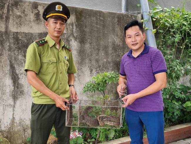 Anh Nguyễn Đình Thành giao nộp cá thể kỳ đà vân cho lực lượng chức năng.