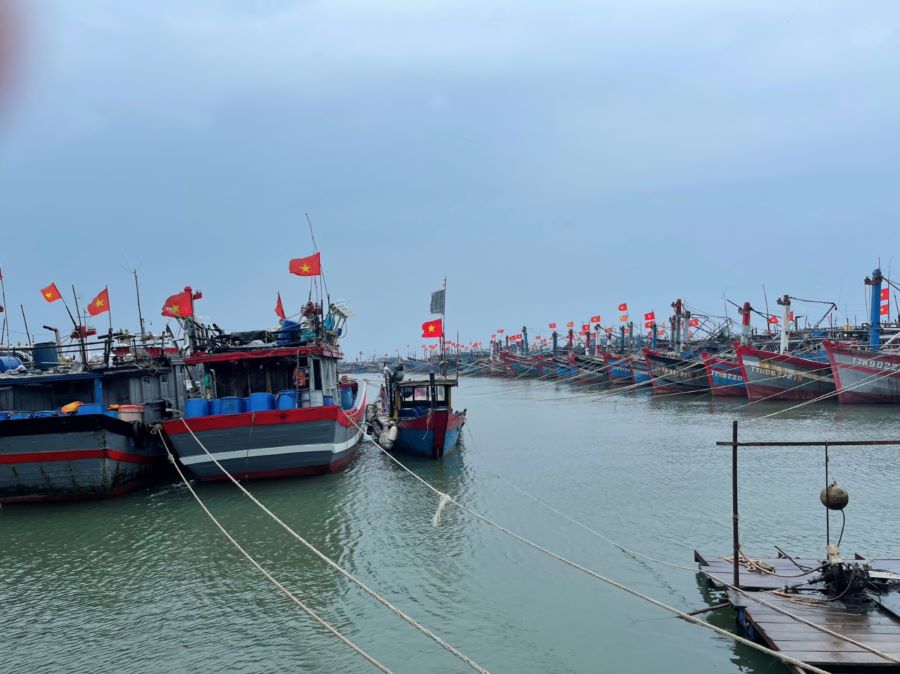 Đoàn công tác đã đi kiểm tra phòng, chống bão số 4 khu neo đậu tàu, thuyền tránh trú bão của ngư dân ở xã Phú Hải.