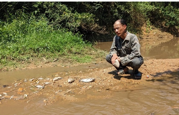 Người dân phản ánh nước hôi thối và cá chết ở khe Rào Trường đoạn thuộc địa bàn xã Vĩnh Hà, huyện Vĩnh Linh.