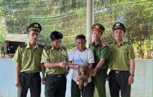 Người dân huyện Nam Đông tự nguyện giao nộp cá thể khỉ mặt đỏ thể động vật rừng quý hiếm.