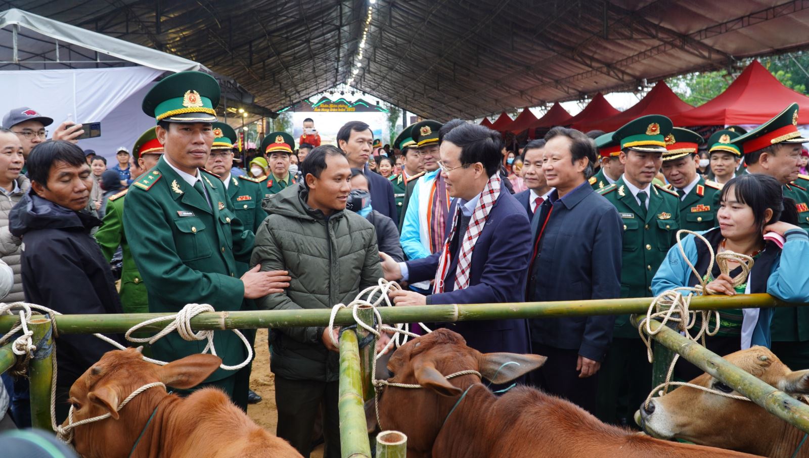 Thường trực Ban Bí thư Võ Văn Thưởng tặng bò giống cho người dân.