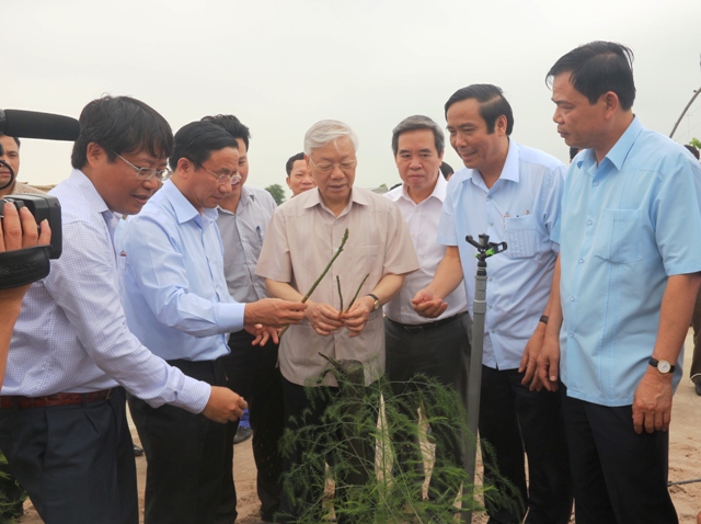 Tổng Bí thư Nguyễn Phú Trọng và Đoàn công tác của Trung ương kiểm tra sản xuất rau củ quả công nghệ cao tại xã Thạch Văn, huyện Thạch Hà