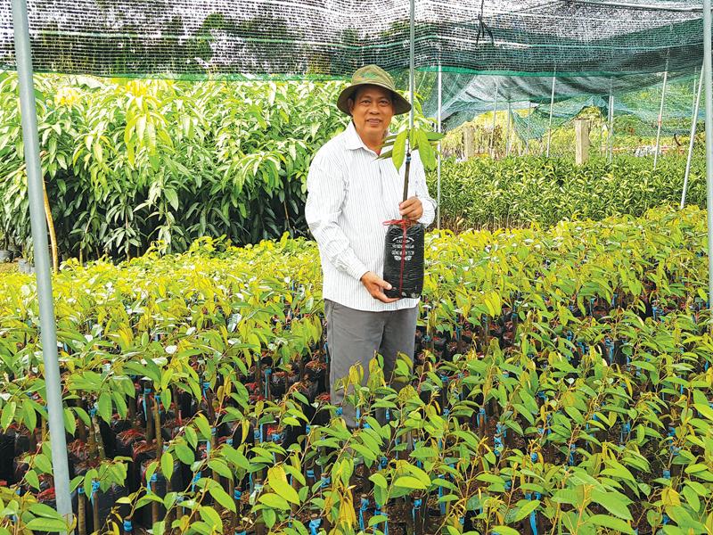 Nông dân Ngô Văn Mười, chủ doanh nghiệp sản xuất giống cây ăn quả, xã Vĩnh Thành, Huyện Chợ Lách, tỉnh Bến Tre