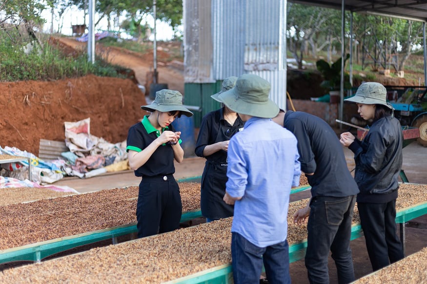 Nhiều doanh nghiệp ở Đắk Nông chú trọng cung cấp ra thị trường những sản phẩm cà phê sạch.