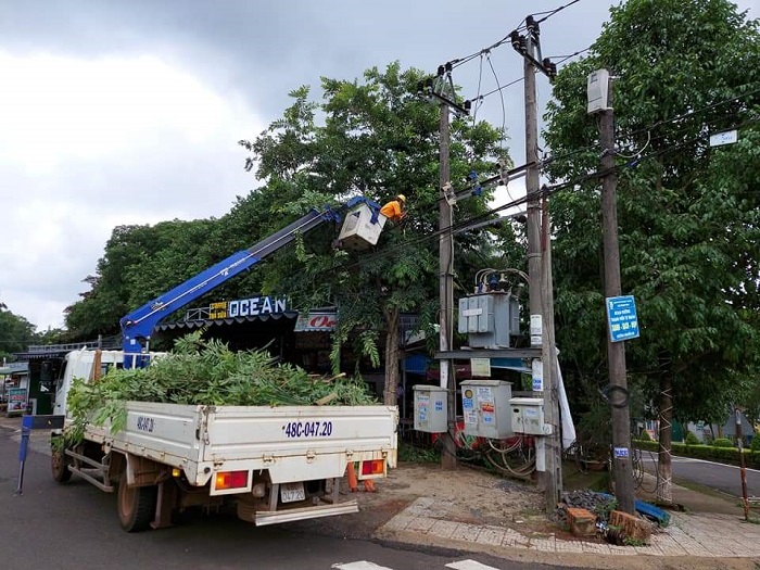 PC Đắk Nông phát quang hành lang tuyến, hạn chế sự cố bảo đảm cấp điện cho khách hàng.