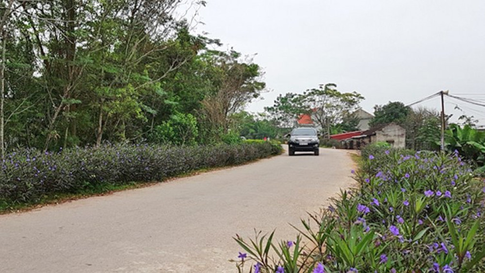 Hội Làm vườn và Trang trại phường Thiệu Khánh: Mỗi năm xây dựng được ít nhất  một vườn mẫu