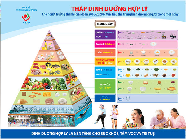 Tháp dinh dưỡng cho sức khỏe người Việt (Nguồn: Viện Dinh dưỡng)