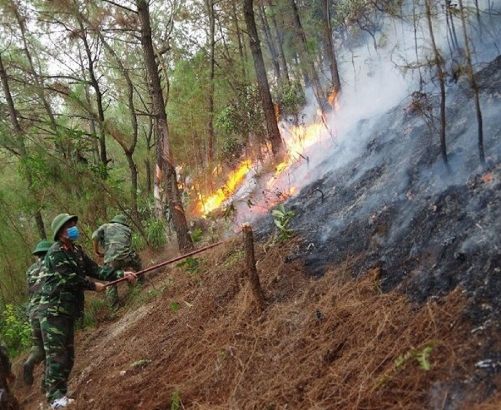 Nắng nóng gay gắt, kéo dài nên nguy cơ cháy rừng ở Nghệ An là rất cao