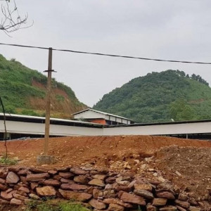 Chủ trang trại lợn lấn chiếm đất và gây ô nhiễm ở Ninh Bình bị phạt 200 triệu đồng
