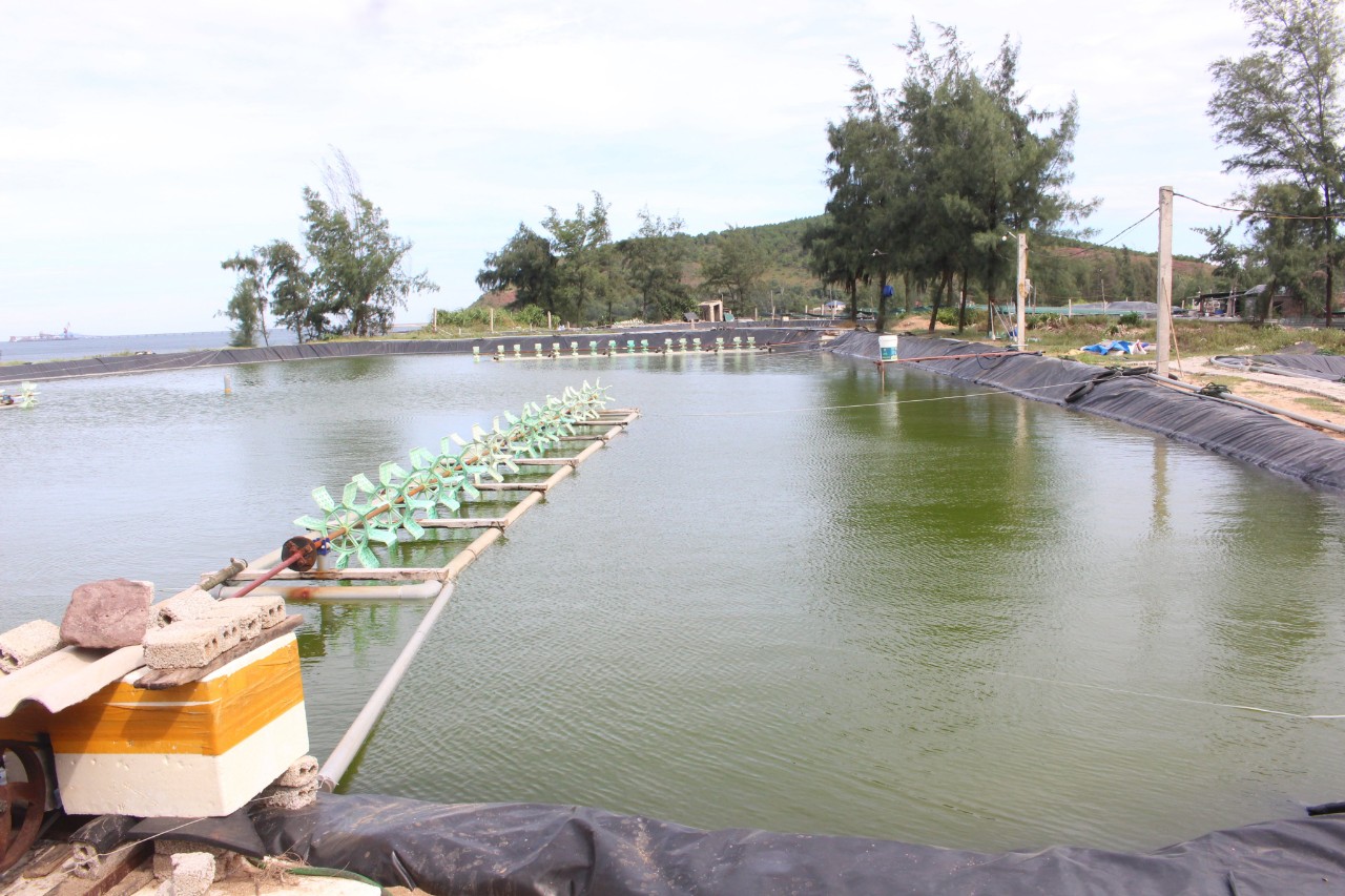 Trung tâm khuyến nông đang xây dựng 24 mô hình nuôi trồng thủy sản công nghệ cao.