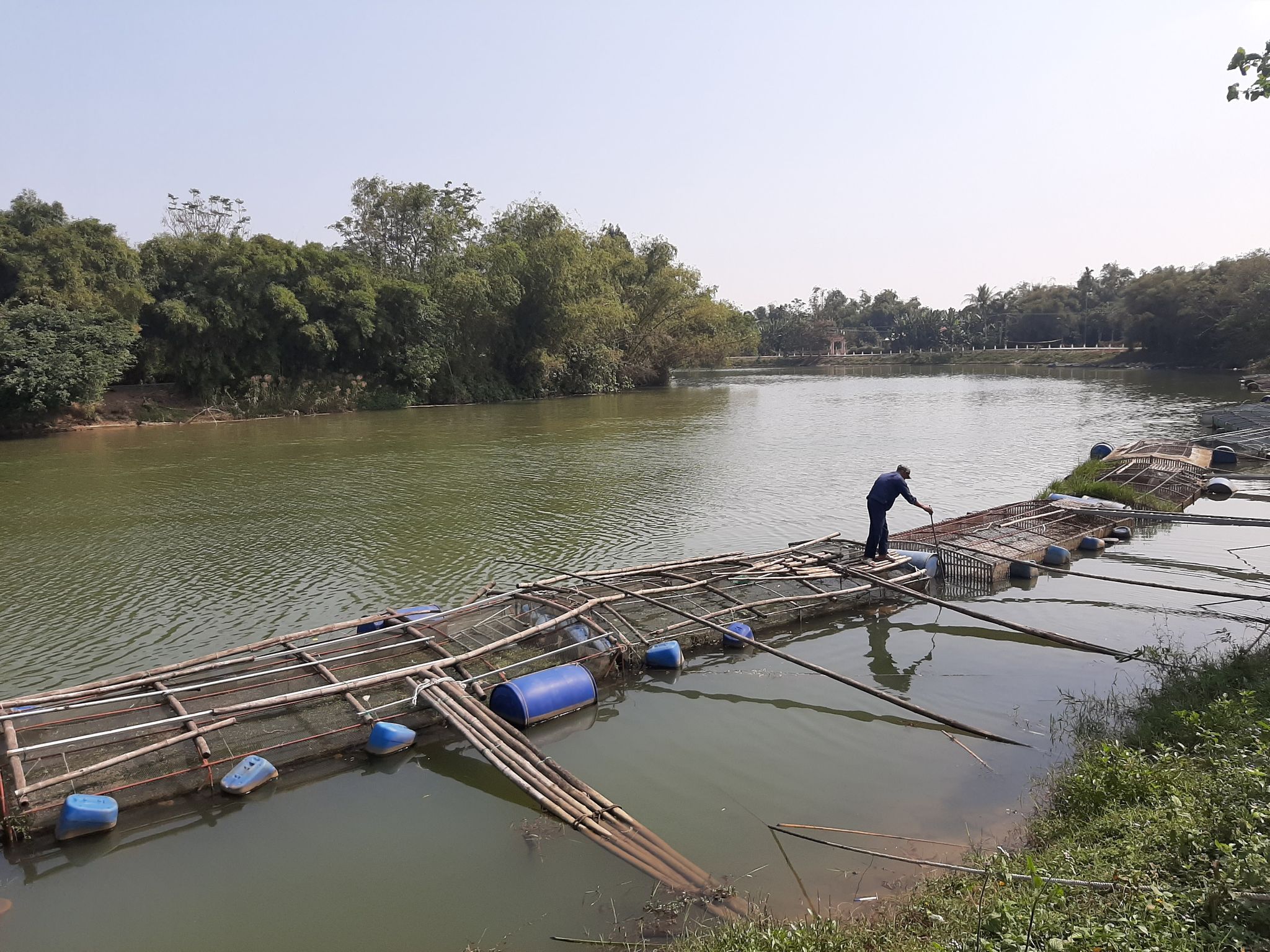 Để chủ động ứng phó với mưa lũ, cơ quan chức năng tỉnh Thừa Thiên - Huế khuyến cáo người nuôi cá lồng cần chủ động các phương án.