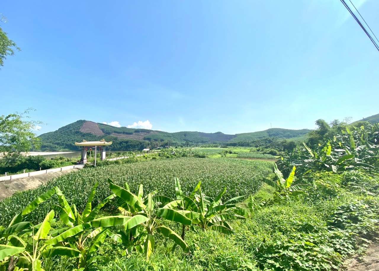 Diện tích huyện Nông Sơn đa phần là đất nông nghiệp, chính vì vậy đảm bảo nguồn nước tưới cũng là đảm bảo bền vững về kinh tế nông thôn.