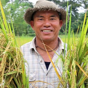 “Nông dân thông minh”: Dự án cải cách nền nông nghiệp Thái Lan