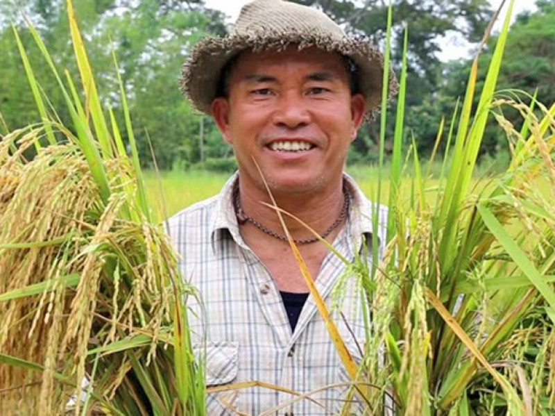 “Nông dân thông minh”: Dự án cải cách nền nông nghiệp Thái Lan