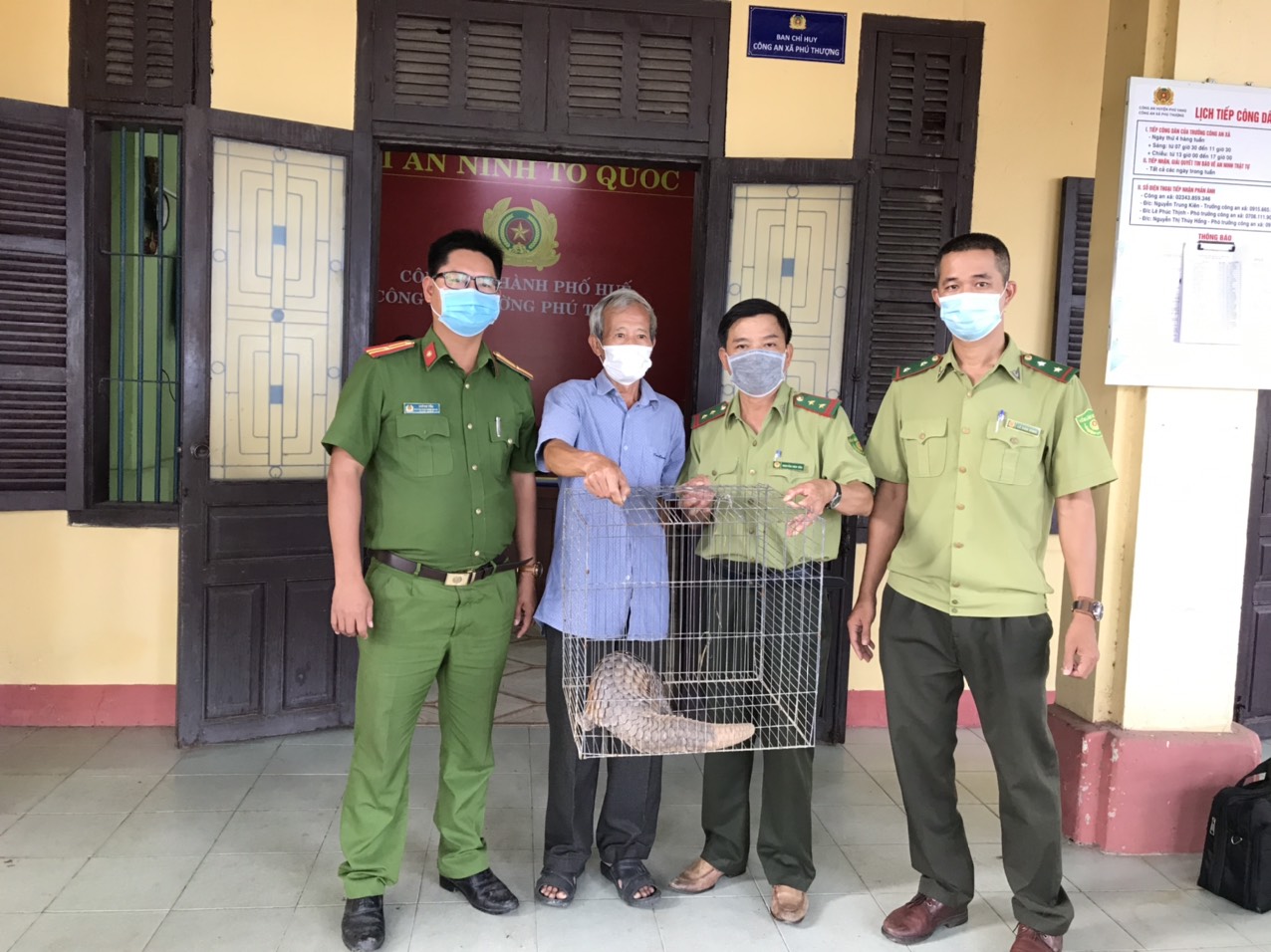Ông Thuận phát hiện cá thể tê tê đang đi lang thang trước cổng nhà ở lô B40, khu đô thị Phú Mỹ Thượng, phường Phú Thượng và đã tiến hành bàn giao cho lực lượng chức năng.