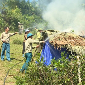 Tuyên Quang: Chủ động tập huấn, phòng cháy chữa cháy rừng