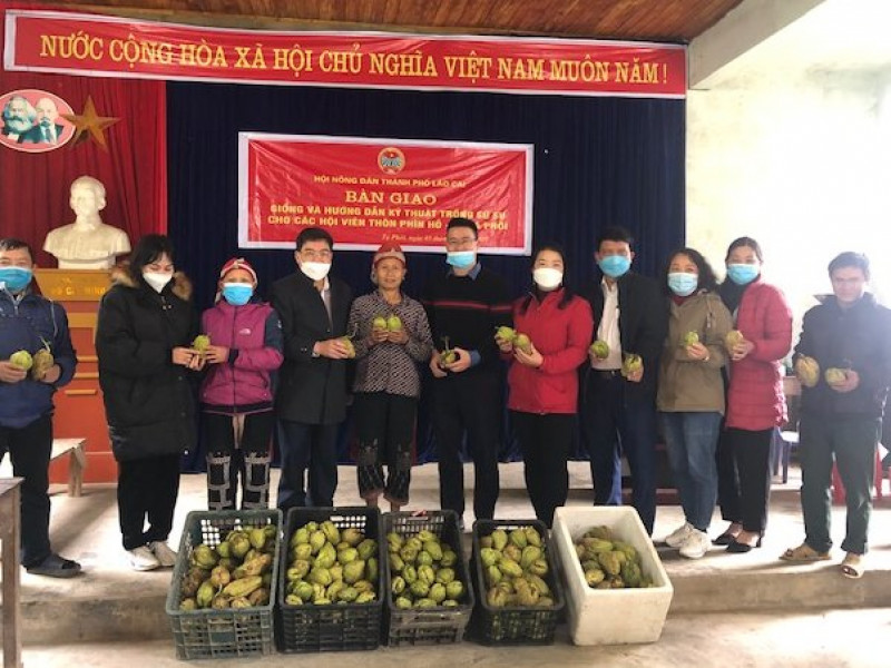 Hội Nông dân TP. Lào Cai hỗ trợ 1 tấn cây giống cho bà con ở Phìn Hồ