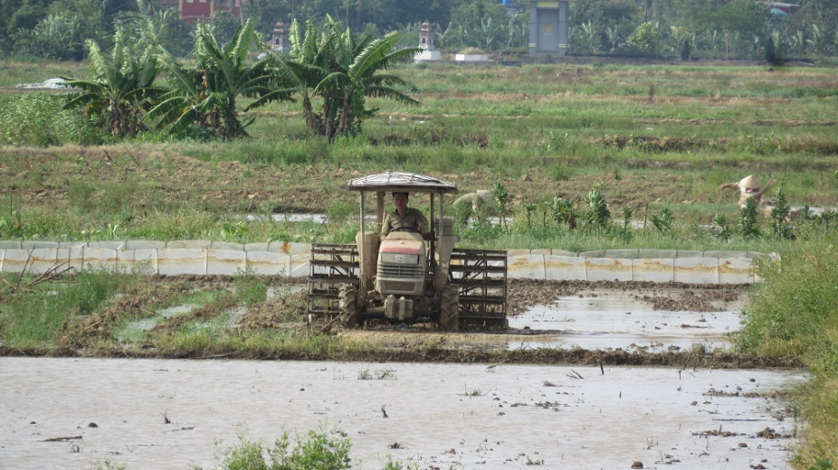 Nông dân Hải phòng đang tập trung đẩy nhanh tiến độ làm đất, đảm bảo việc sản xuất lúa mùa đúng khung thời vụ.